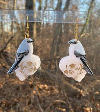 Load image into Gallery viewer, Shrike