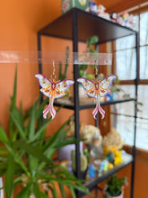 Load image into Gallery viewer, 🌙Luna Moth🌙
